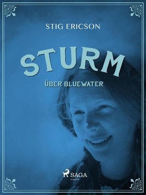 cover image of Sturm über Bluewater